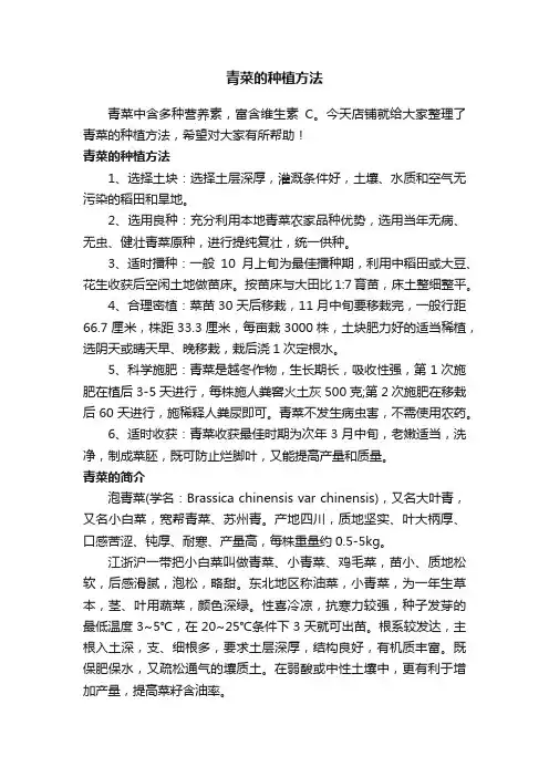 青菜的种植方法