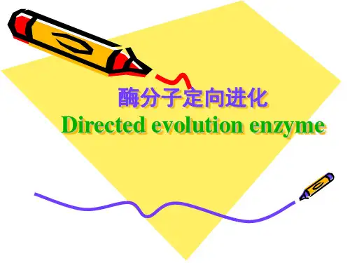 酶工程_酶分子定向进化