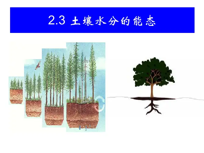 第2章 土壤水的保持和运动2