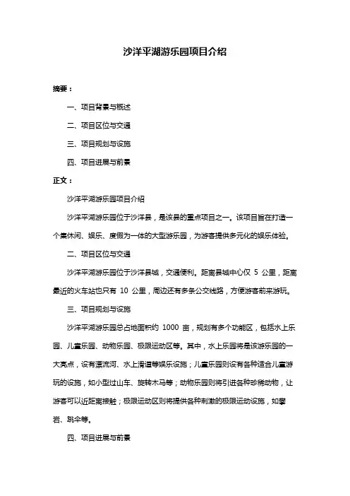 沙洋平湖游乐园项目介绍