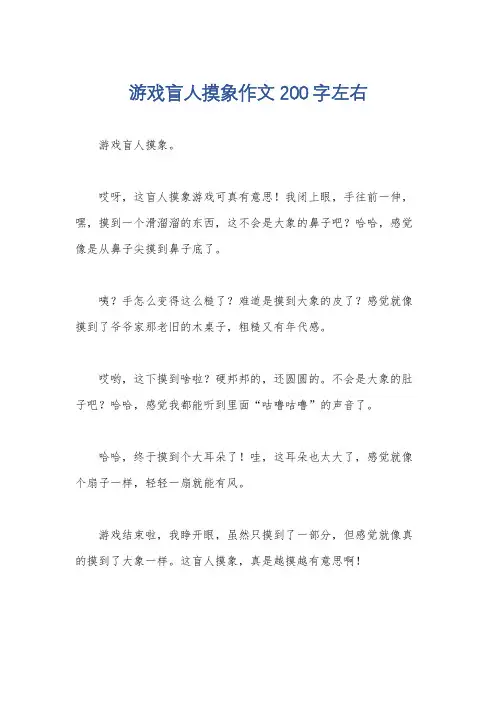 游戏盲人摸象作文200字左右