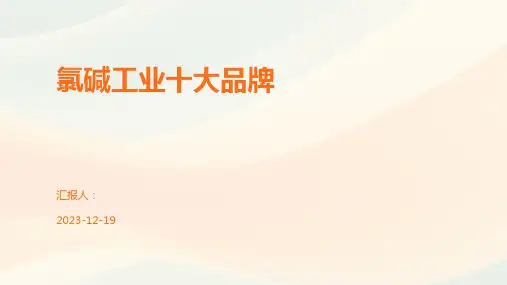 氯碱工业十大品牌