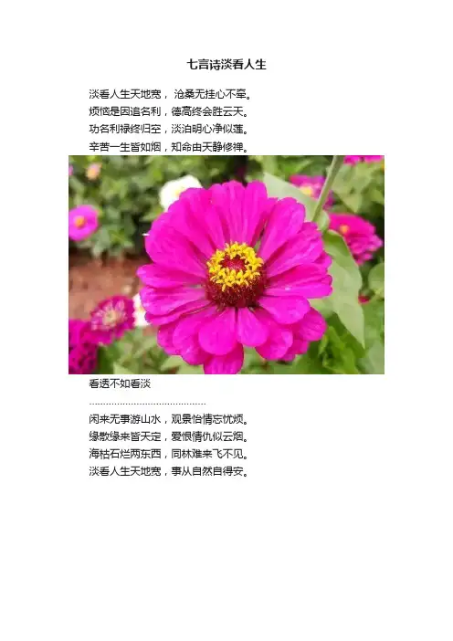 七言诗淡看人生