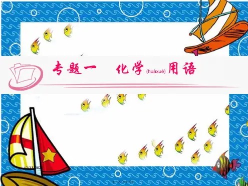 中考化学第二部分专题复习专题一化学用语