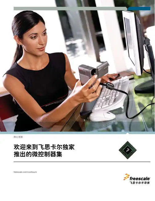 飞思卡尔芯片简介