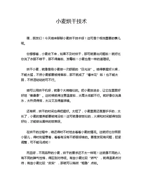 小麦烘干技术