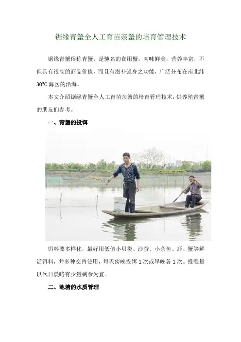 锯缘青蟹全人工育苗亲蟹的培育管理技术