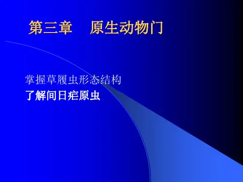 4(2)原生动物门PPT课件