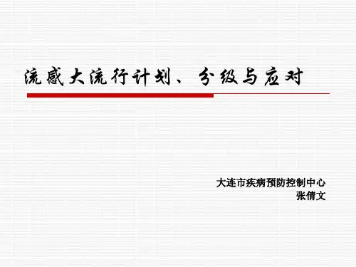 流感大流行计划、分级与应对