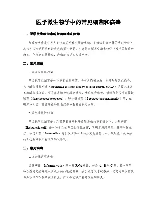 医学微生物学中的常见细菌和病毒