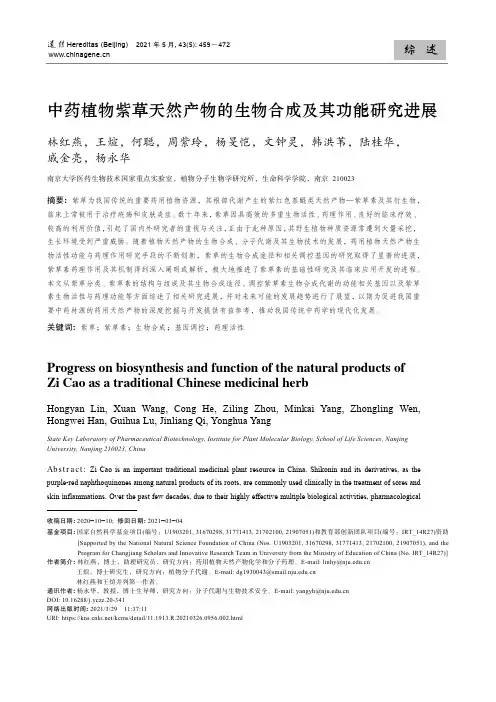 中药植物紫草天然产物的生物合成及其功能研究进展