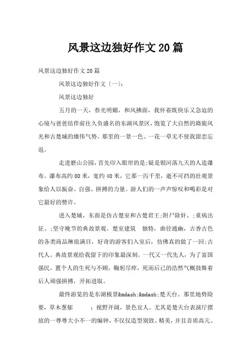 风景这边独好作文20篇