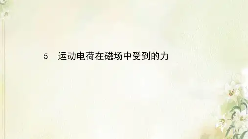 2020_2021学年高中物理第三章磁场5运动电荷在磁场中受到的力课件新人教版选修3_1