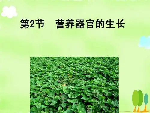 生物七年级上册6章2节营养器官的生长课件北师大版