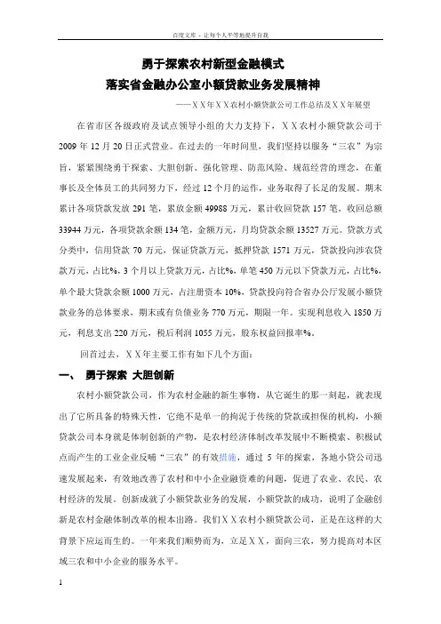 农村小额贷款公司工作总结及ⅩⅩ年展望