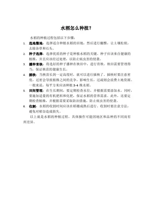 水稻怎么种植？