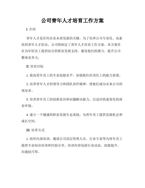公司青年人才培育工作方案
