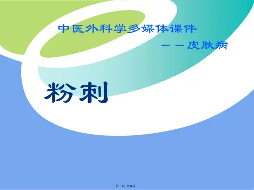 中医外科学多媒体课件--皮肤病-粉刺