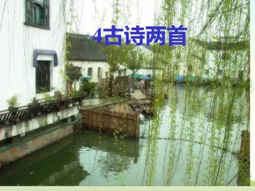 4古诗两首咏柳和小池