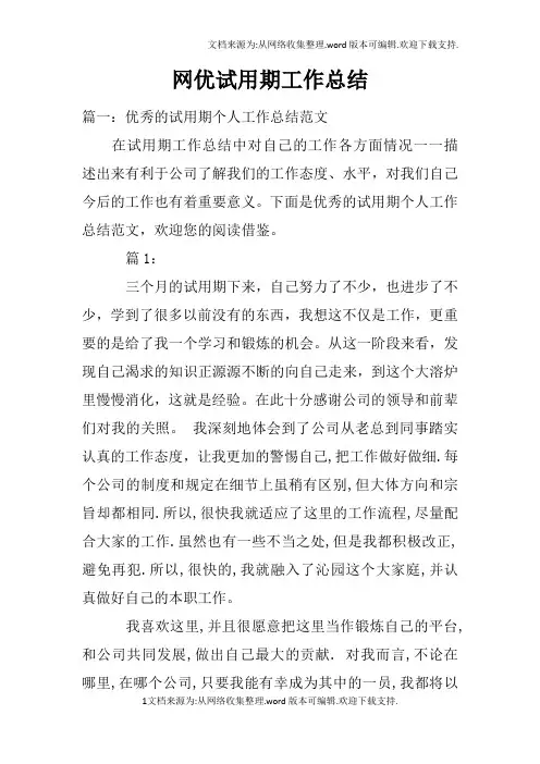 网优试用期工作总结