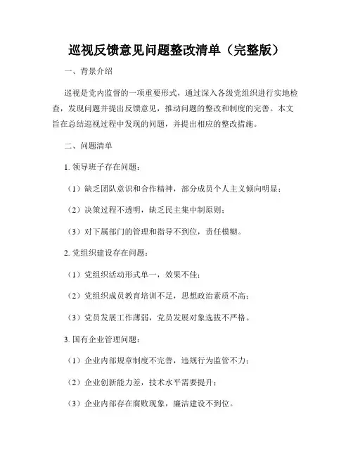 巡视反馈意见问题整改清单(完整版)