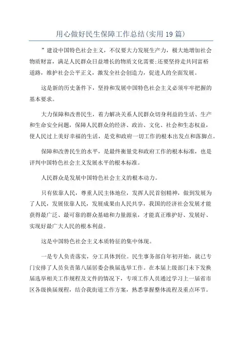 用心做好民生保障工作总结(实用19篇)
