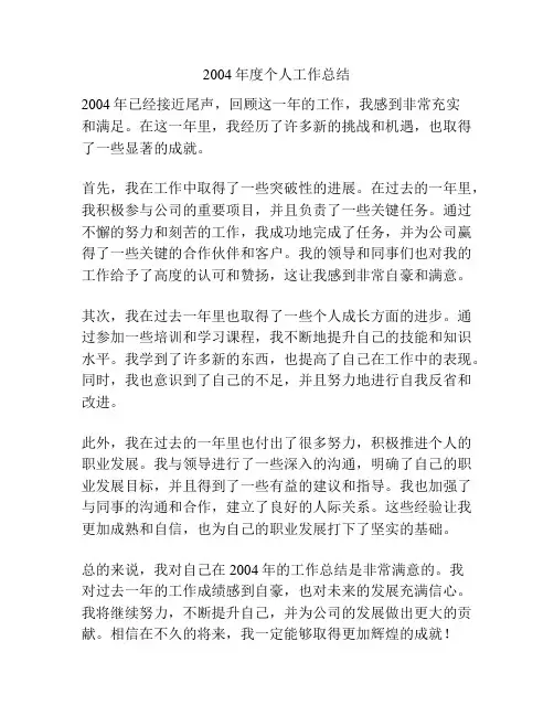 2004年度个人工作总结