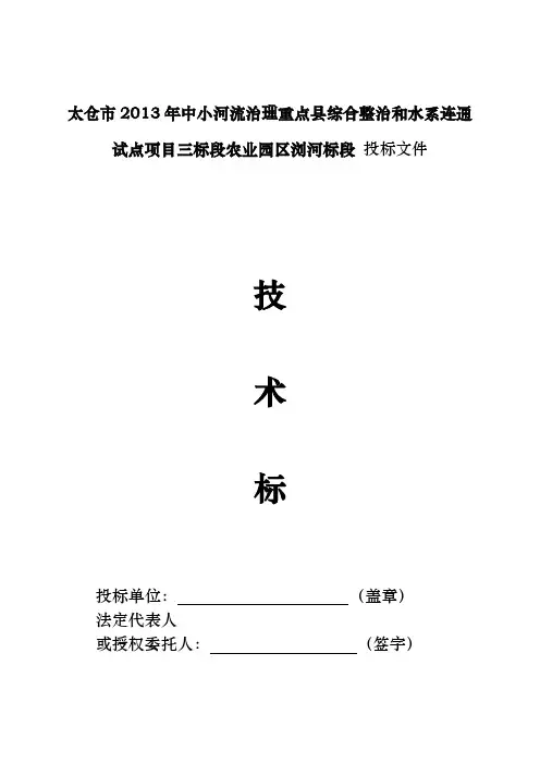 河道治理工程施工组织设计(技术标(9).doc