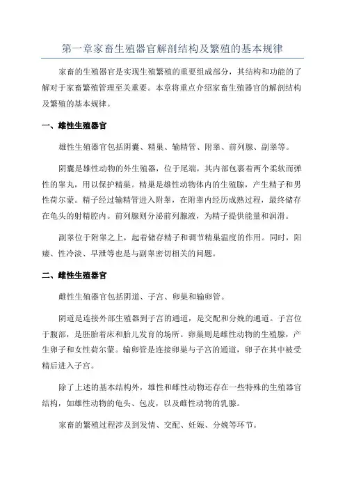 第一章家畜生殖器官解剖结构及繁殖的基本规律
