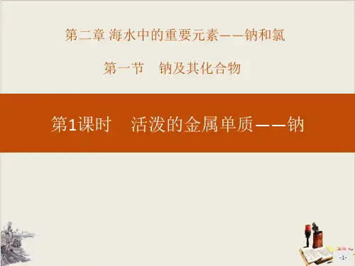 活泼的金属单质——钠_钠及其化合物PPT课件