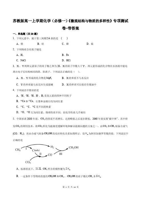 苏教版高一上学期化学(必修一)《微观结构与物质的多样性》专项测试卷-带答案
