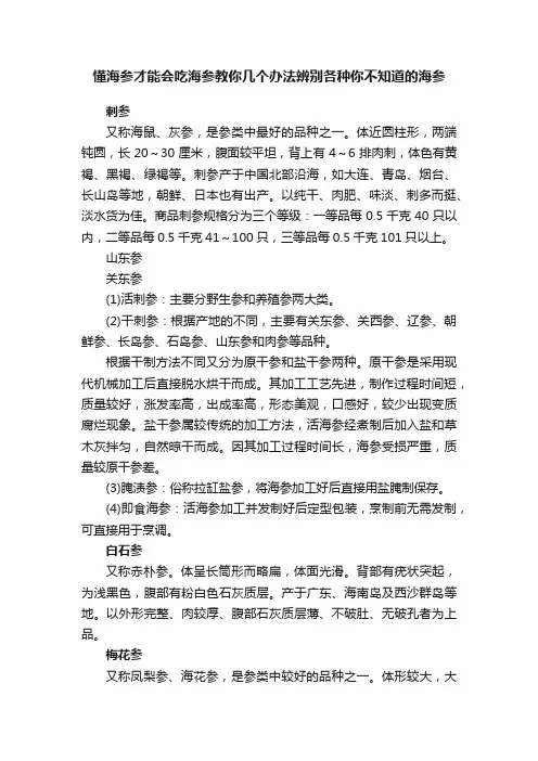 懂海参才能会吃海参教你几个办法辨别各种你不知道的海参