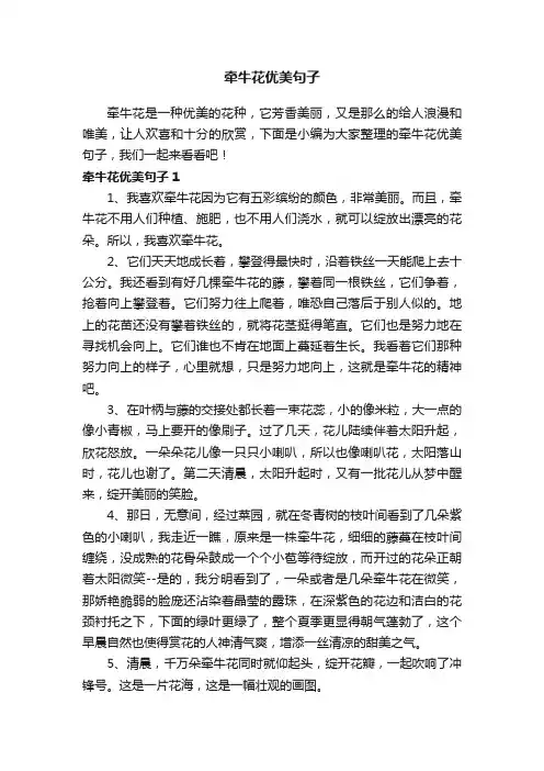 牵牛花优美句子