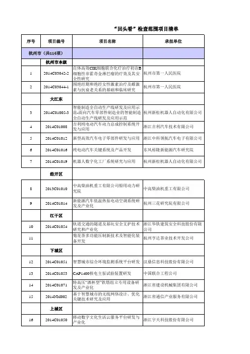 专项检查清单