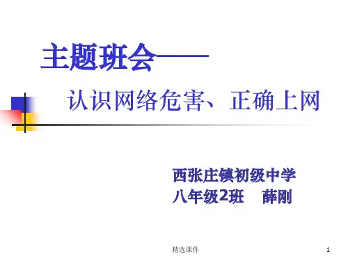 认识网络危害、正确上网ppt课件