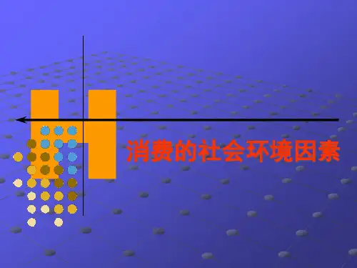 项目六消费的社会环境因素