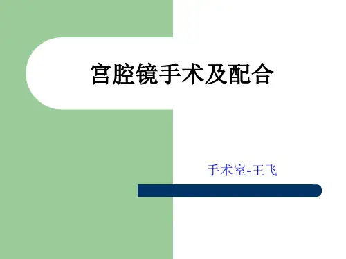 宫腔镜手术(完整版)教学文稿