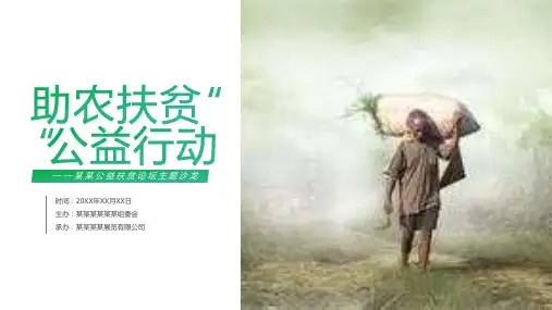 绿色简约助农扶贫公益行动扶贫工作汇报要点PPT模板课件