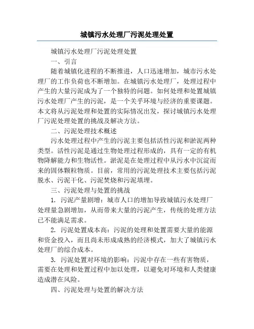 城镇污水处理厂污泥处理处置