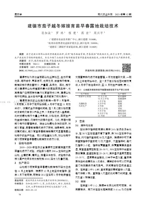 建德市茄子越冬嫁接育苗早春露地栽培技术