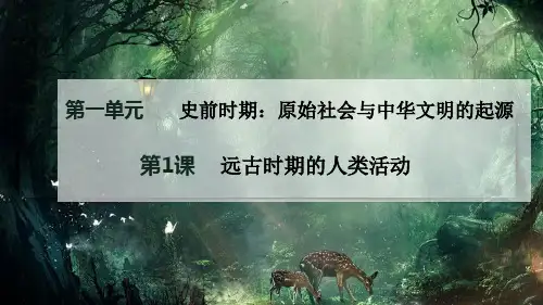 《远古时期的人类活动》史前时期：原始社会与中华文明的起源PPT课件