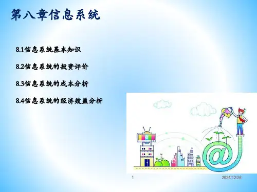 第八章 信息系统 《信息经济学》PPT课件