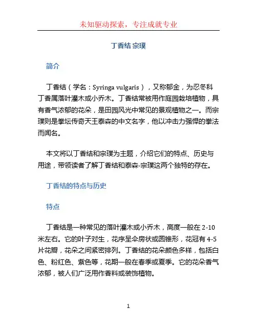 丁香结 宗璞