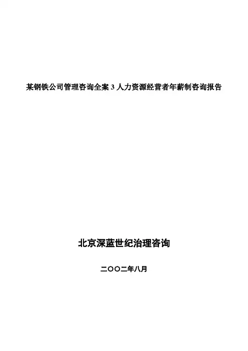 某钢铁公司管理咨询全案3人力资源经营者年薪制咨询报告