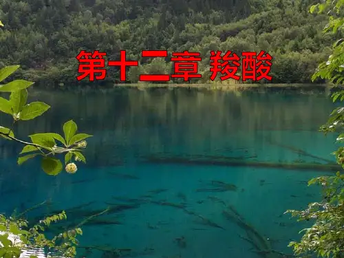 大学有机化学课件- 羧酸