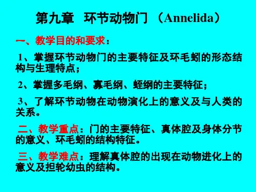 第九章 环节动物