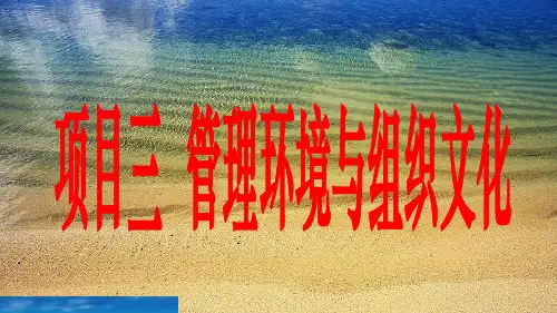 管理环境与组织文化概述(PPT 48页)