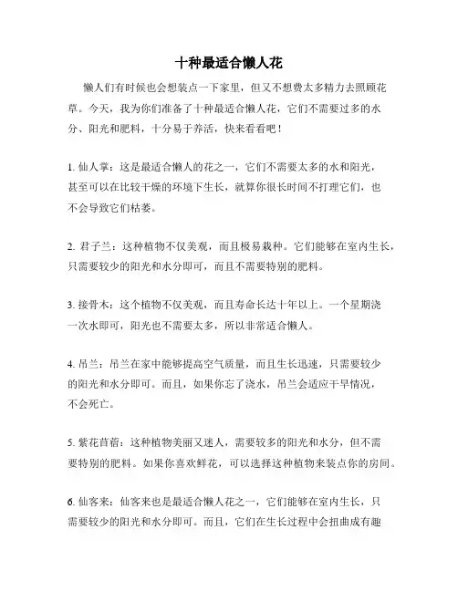 十种最适合懒人花