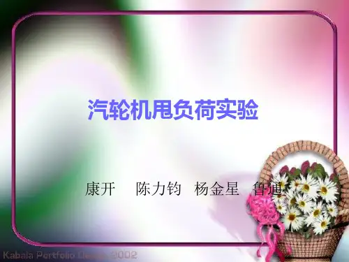 甩负荷试验