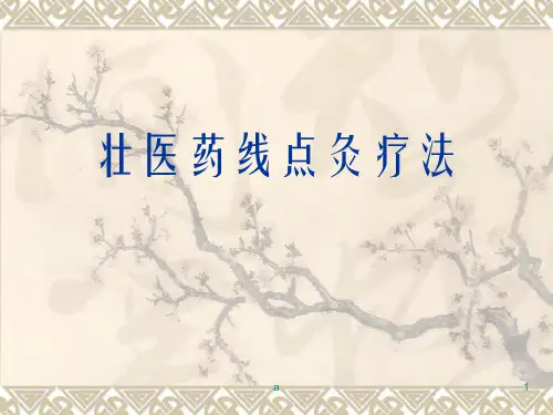 《壮医药线疗法》PPT课件